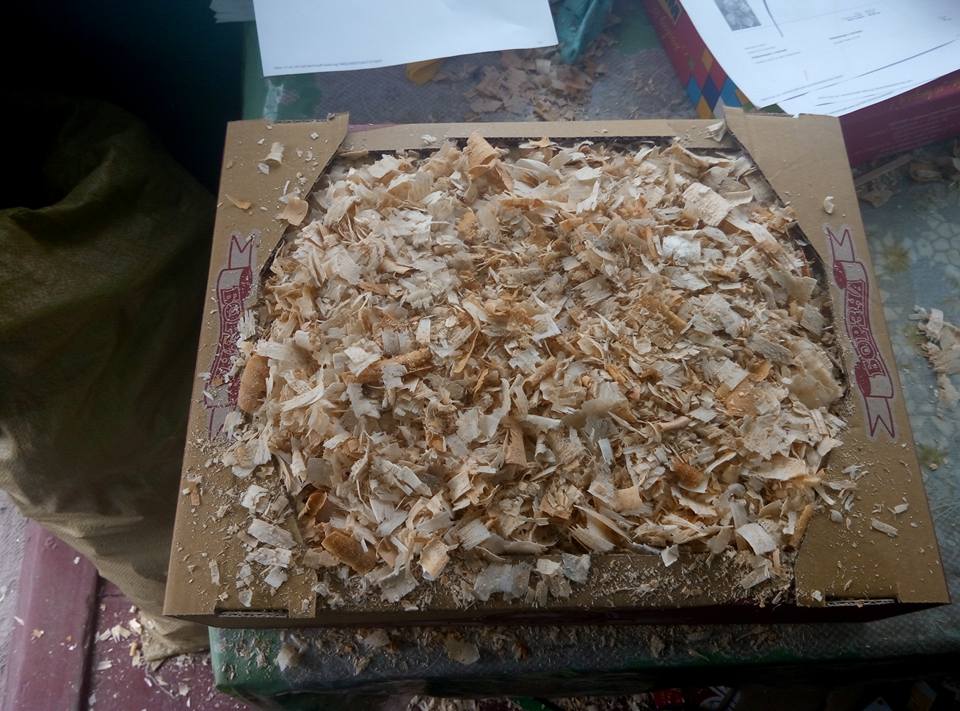 Надёжная упаковка саженцев — пример 2